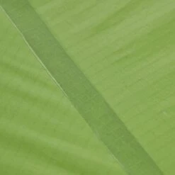 VAUDE LIZARD SEAMLESS 1-2P - Einpersonenzelt -Primus Verkaufsgeschäft 5637736447 af power lizard seamless 12p cress green vaude 24