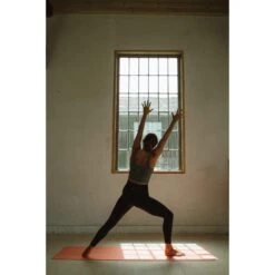 Blackroll MAT GYMBAG GT - Yogamatte 18 Blackroll MAT GYMBAG GT - Yogamatte -Primus Verkaufsgeschäft 5637896171 h mat gt plus gymbag blackroll 24