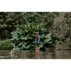 Grayl GEOPRESS PURIFIER - Trinkwasserfilter -Primus Verkaufsgeschäft 5637917282 f geopress purifier grayl 24